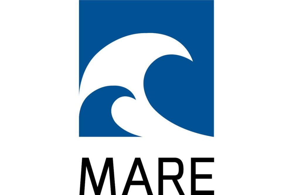 MARE SAFETY